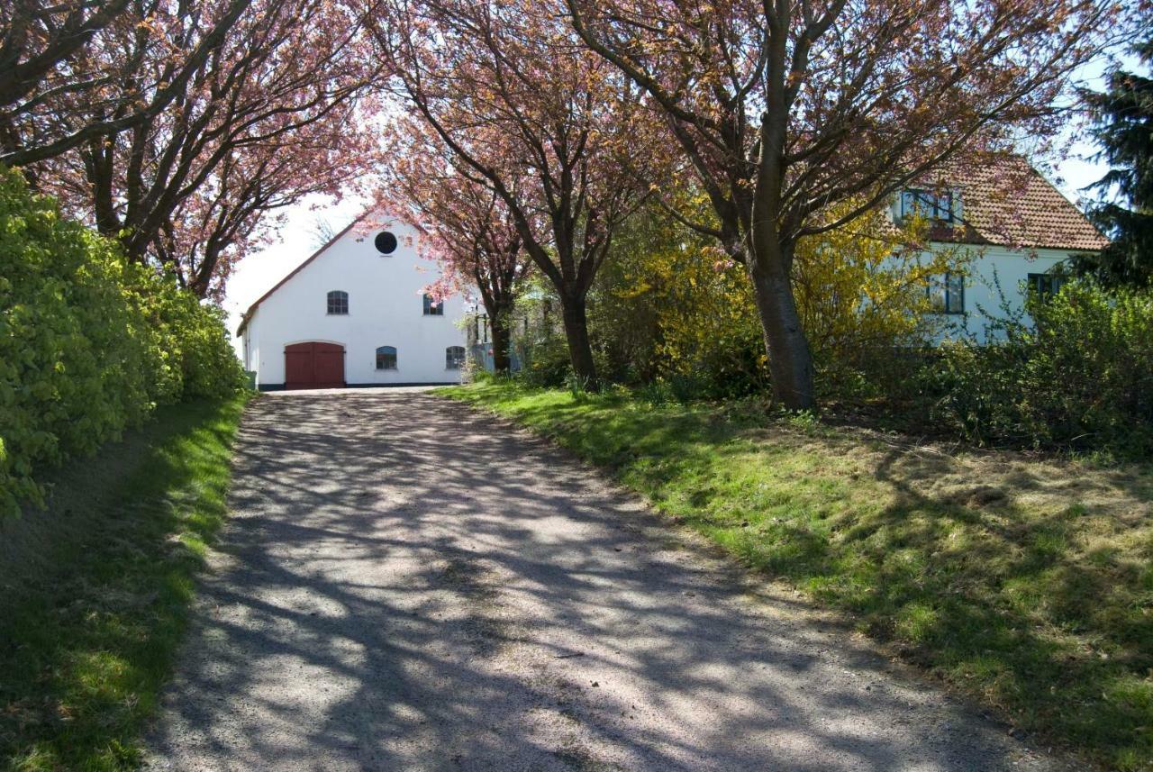 Peterslund Apartment Ostra Tommarp Exterior photo